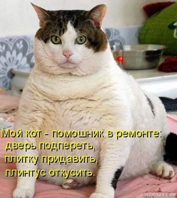 kotomatrix_0981