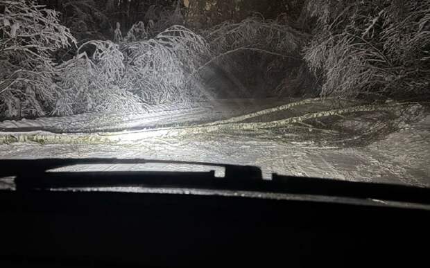 В Касимовском округе деревья блокируют дороги