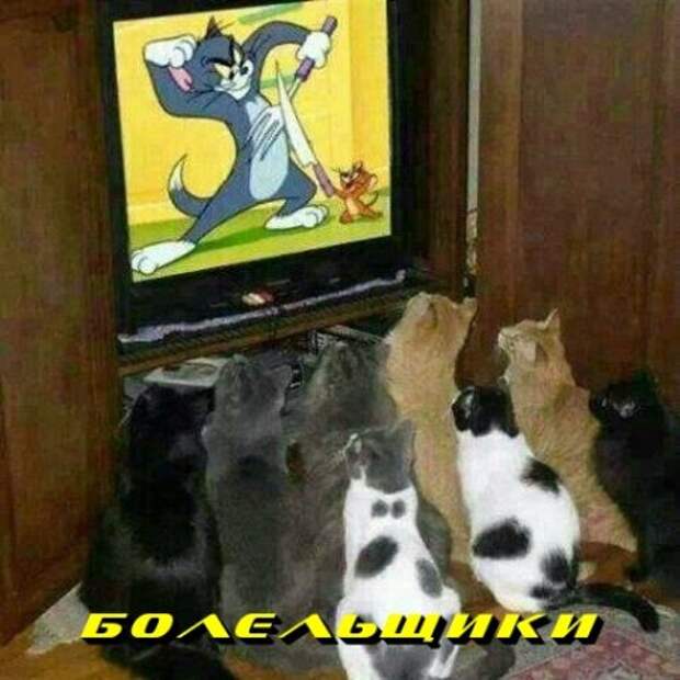 Оттянись, посмотри приколы.