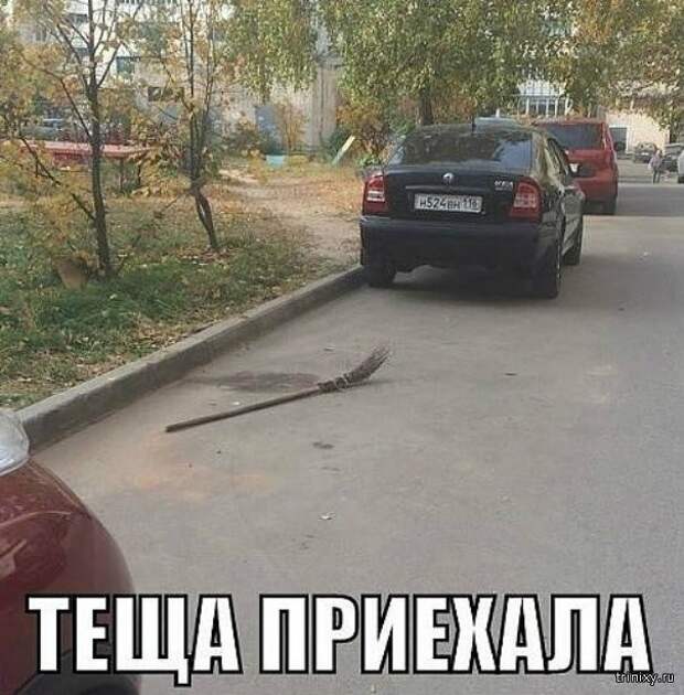 Теща приколы фото