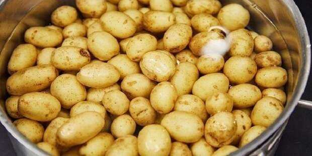 Скажи микроволновке «нет»: 10 продуктов, которые не стоит разогревать в СВЧ