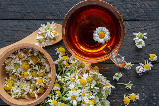 Гастроэнтеролог Головчанская: травяные чаи могут навредить здоровью