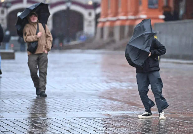 Выселенный из жилья в Черногории Артемий Лебедев оставил надпись на воротах обидчика