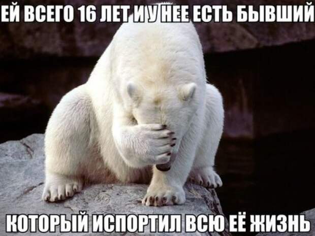 Фото-приколы дня (40 шт)