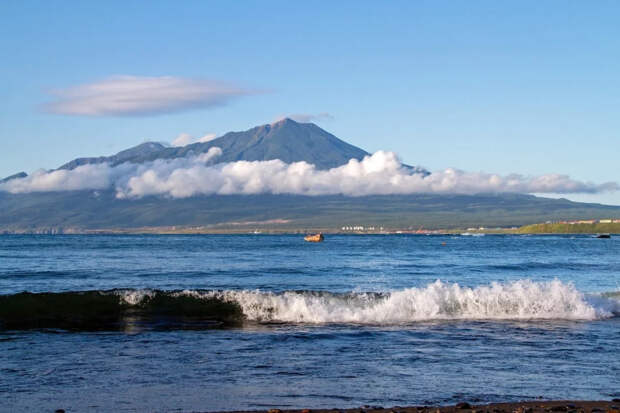 Что везут с Итурупа и Сахалина: копченая рыба, красника и никакой икры