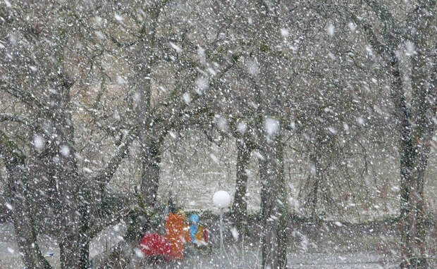 РГ: Обильные снегопады могут изменить прогнозы урожая в России и Беларуси