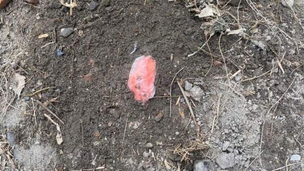 В Барнауле задержали студентку-мигрантку, развозившую по Сибири свертки с наркотиками