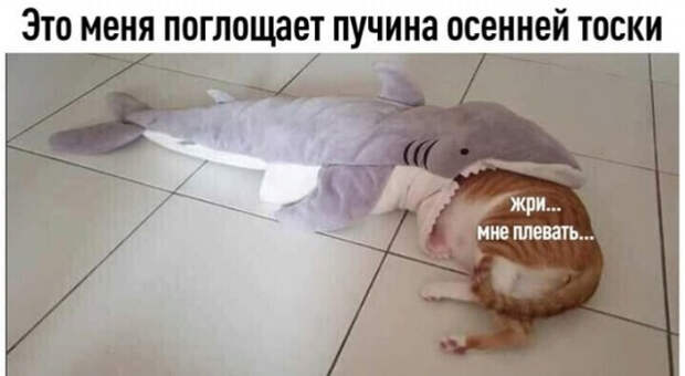 Юмор