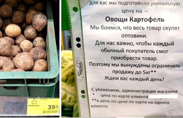 Картофель по 5 килограммов в руки, декабрь 2021 года 