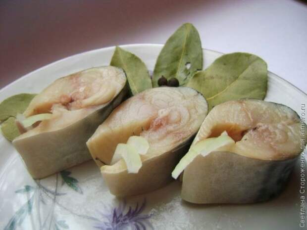 соленая скумбрия рецепт соленая скумбрия рецепт