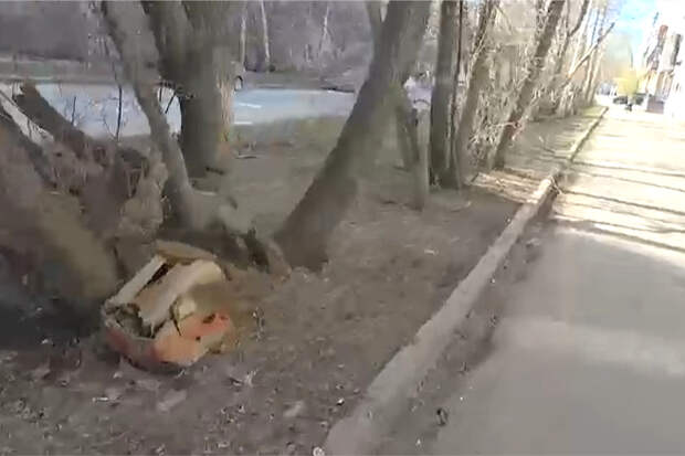 Жители российского города пожаловались на мусор