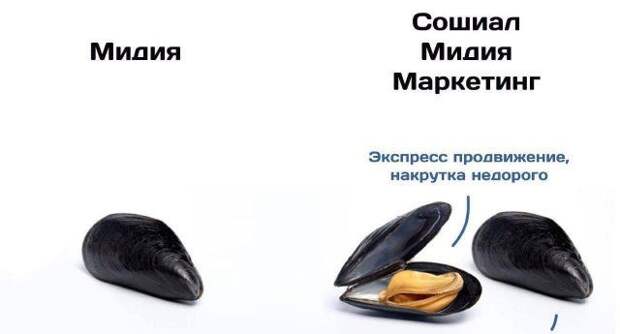 1598504926_6.jpg
