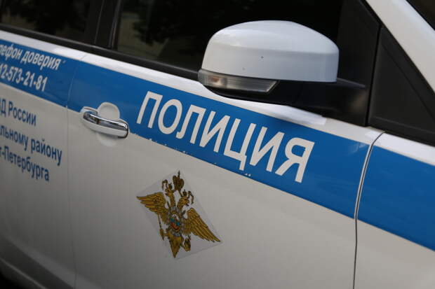 В Москве полицейские устроили погоню за 19-летним мигрантом на угнанном каршеринге