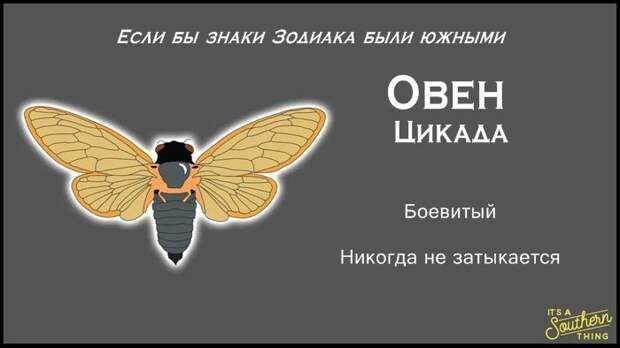 Есть южная версия знаков Зодиака — и она очень точна