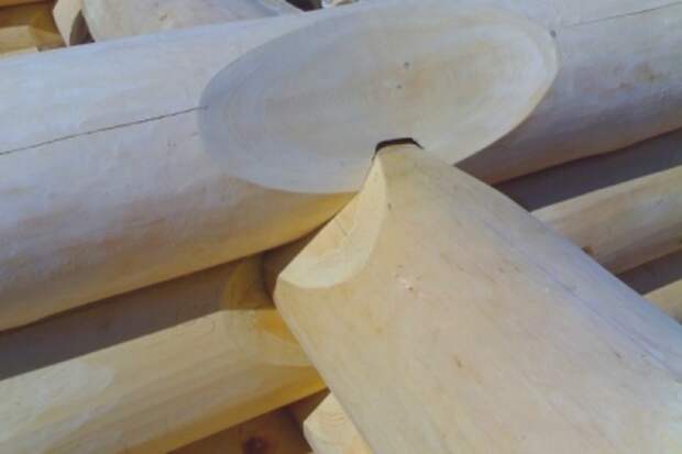 srub iz brevna.jpg 9.jpg srub iz brevna.jpg 9.jpg