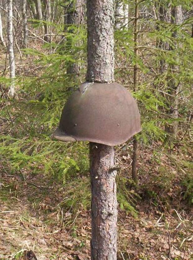 24 фото, доказывающих, что самая большая сила на Земле - природа, а не люди