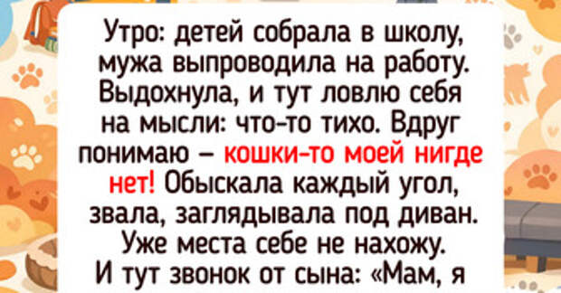 15+ пушистиков, с которыми что ни день, то новая серия комедийного сериала
