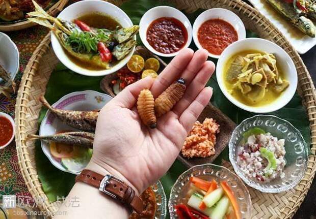 12. Butod - Малайзия блюда, в мире, деликатесы, еда, национальная кухня, путешествия, разные страны, фото