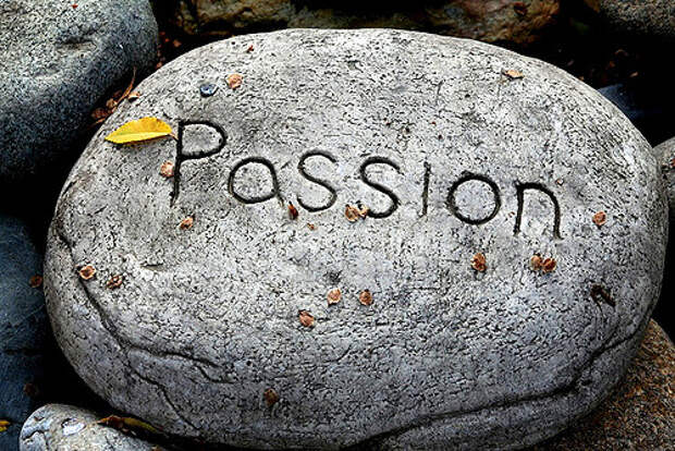 Cultivating Passion: A Guide to Living a More Fulfilling Life (Part 2 of 4)