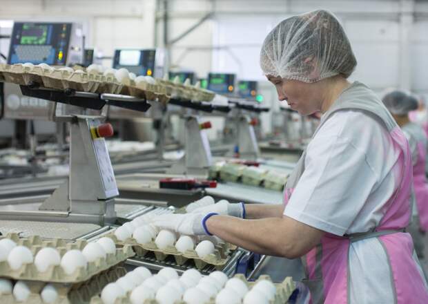 Россия попала в десятку ведущих производителей одного популярного продукта