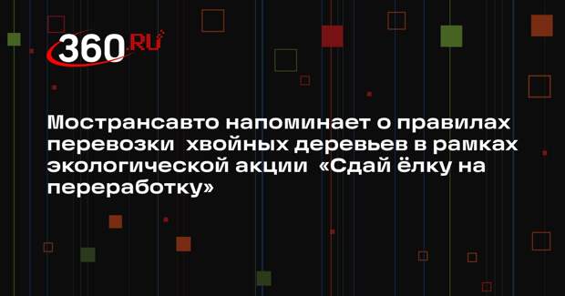 Жителям Подмосковья напомнят о правилах перевозки елок в автобусах