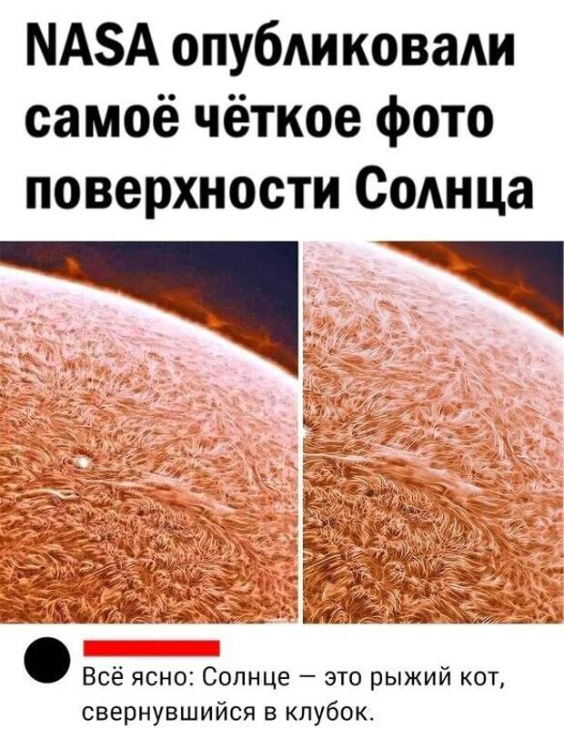 20+ интересных комментариев и диалогов из соцсетей для хорошего настроения