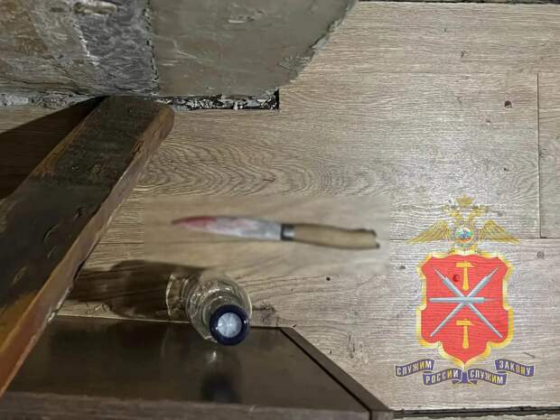 В Новомосковске сожитель нанёс женщине ножевое ранение в грудь