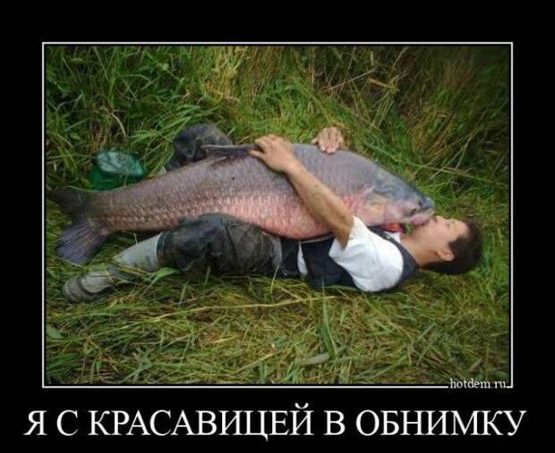 1589352291_demy-13.jpg