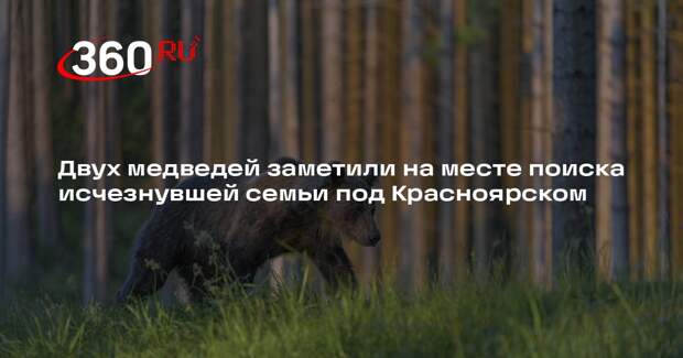 ТАСС: в зоне поиска пропавшей семьи в Красноярском крае заметили медведей