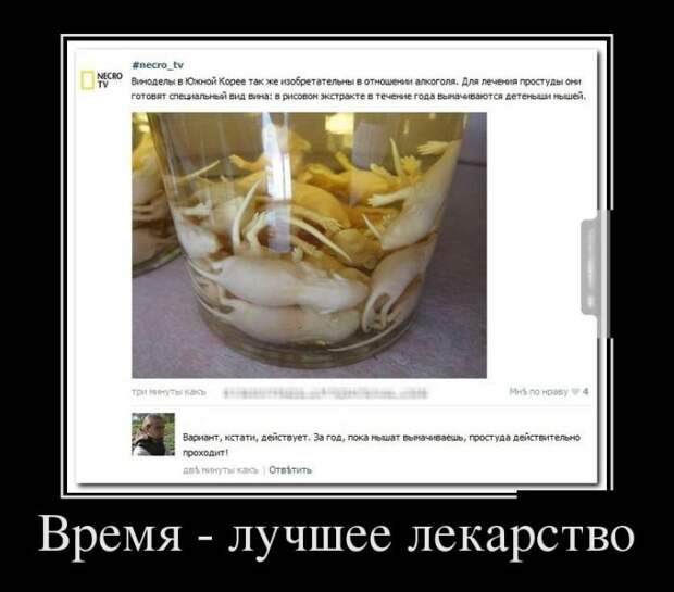 Летние демотиваторы - прикольные картинки Летние демотиваторы - прикольные картинки