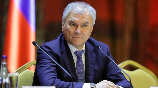 Володин направил в профильный комитет законопроекты об усилении защиты граждан от кибермошенничества