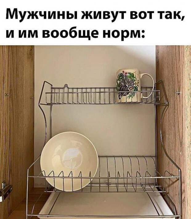 Лучшие шутки и мемы (15 фото)