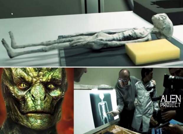 Найденная в Перу мумия принадлежит существу рептилоидного типа