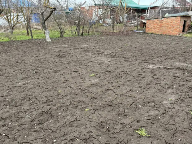 Сыпем это на грядки в марте — земля становится как пух: секретное оружие дачников для богатого урожая