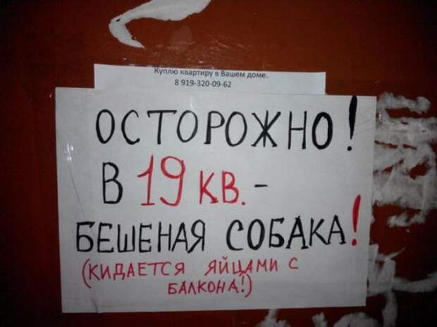25 уморительных объявлений: так могли написать только наши люди!