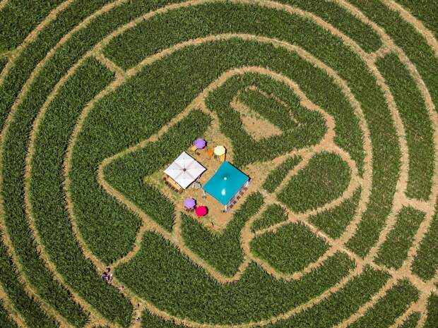 636662074185719569-EPA-epaselect-SWITZERLAND-CURIOSITIES-CORN-MAZE.jpg 636662074185719569-EPA-epaselect-SWITZERLAND-CURIOSITIES-CORN-MAZE.jpg