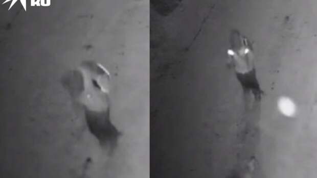 Родители покусанной собаками первоклассницы отсудили у мэрии Новосибирска 60 тысяч рублей