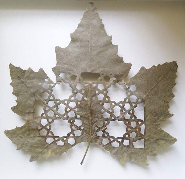 HOJA-N~1.JPG