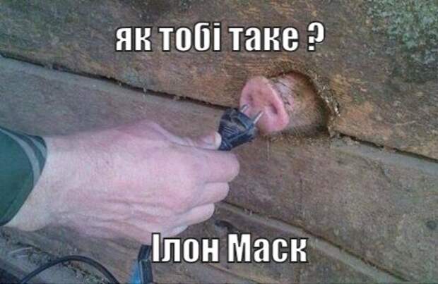 Маск попросил мемы Маск попросил мемы