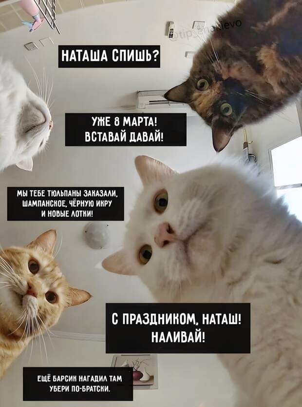 Донецкая группа новостей, Донецк ДНР