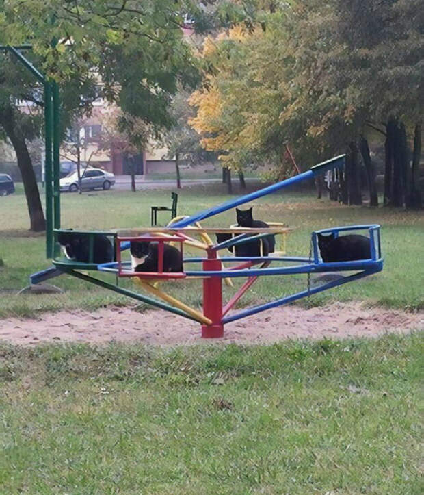 Дворовая мафия. Дворовая мафия.