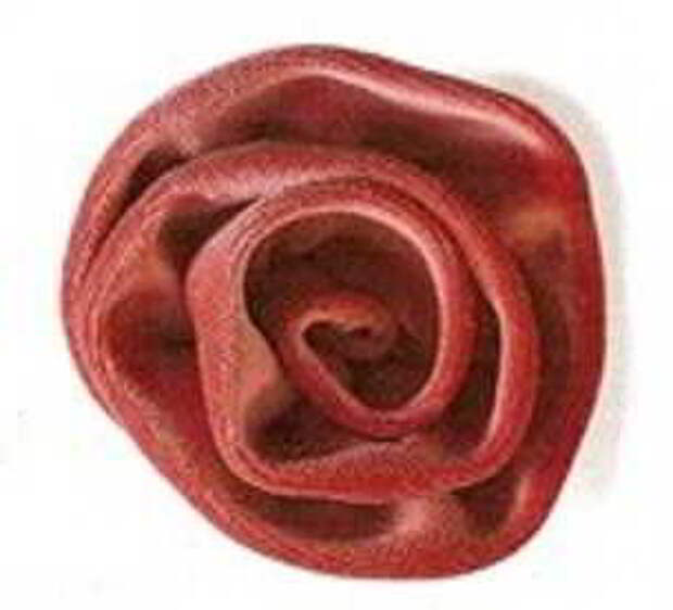 roza-iz-tkani