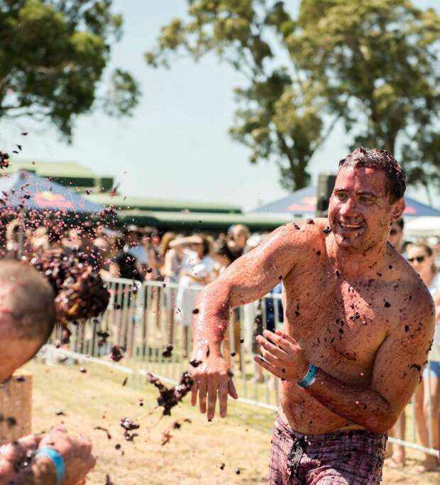 unique-festivals-around-the-world-grape-throwing-of-the-grape-australia