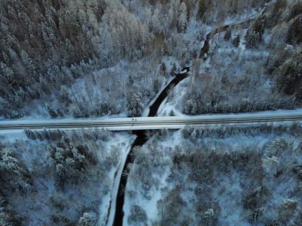 Разрушенная дорога в Ленобласти привлекла внимание Бастрыкина