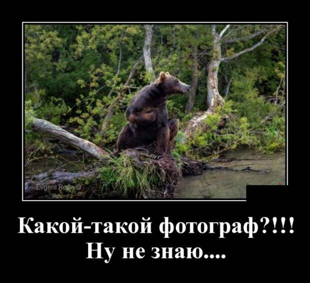 Демотиваторы