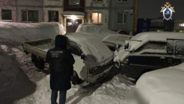 Глава ведомства поручил доложить о ходе расследования уголовного дела по факту дорожно-транспортного происшествия со смертельным исходом в Камчатском крае