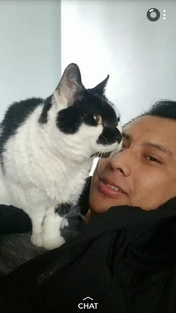 Кошка на мужчине Мужчина с кошкой