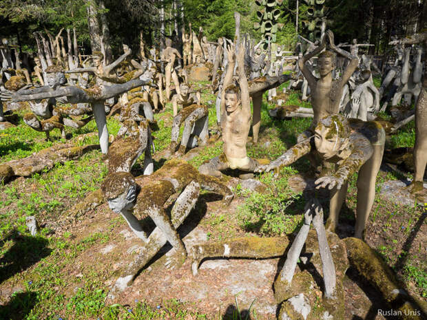 Сумасшедший лес в Финляндии путешествия, факты, фото