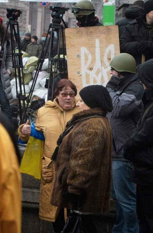 Киевляне за чистый город и против фашистов