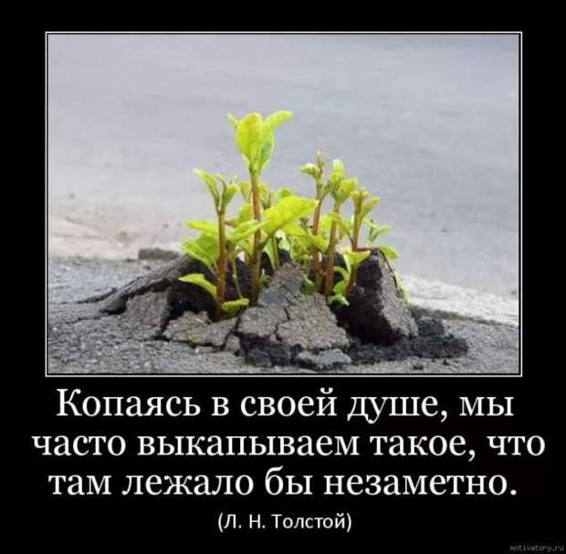 Прикольные демотиваторы с надписями. Подборка chert-poberi-dem-chert-poberi-dem-23340324052020-13 картинка chert-poberi-dem-23340324052020-13